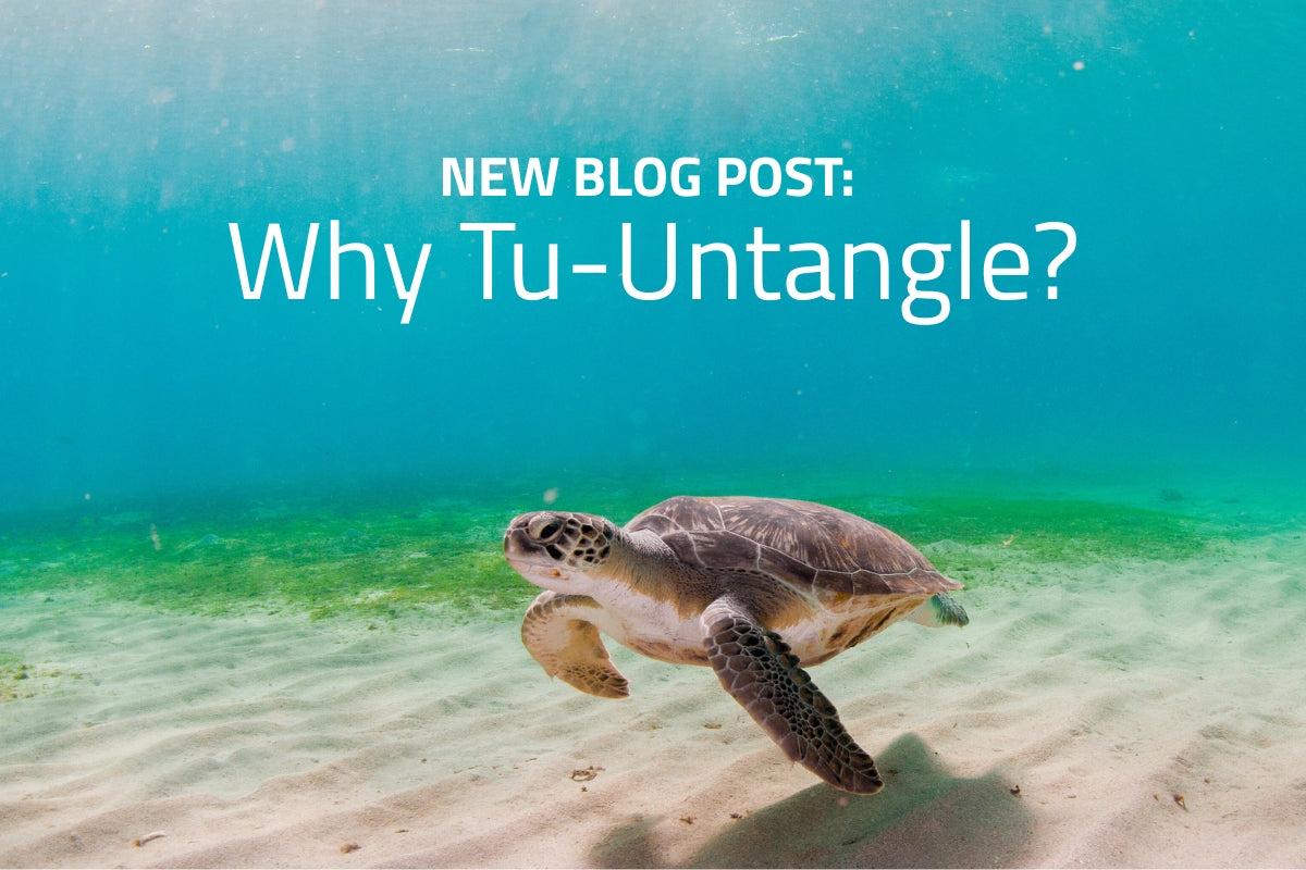 Sea turtle swimming freely in clear water, symbolizing plastic-free oceans and marine life conservation